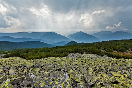 simsearch:400-07245923,k - Peaks of the Carpathians mountains wrapped up with a mist Stock Photo - Budget Royalty-Free & Subscription, Code: 400-05360644