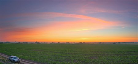 Panoramic image of the sunrise over field. Stock Photo - Budget Royalty-Free & Subscription, Code: 400-05360725