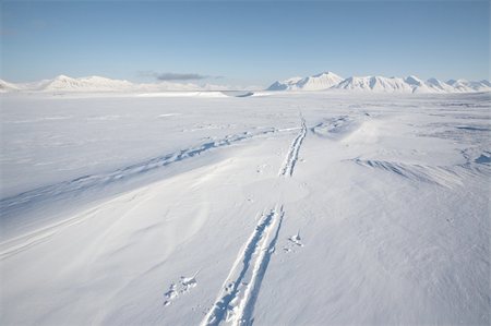 simsearch:400-05361285,k - Arctic winter - tracks on the snow Photographie de stock - Aubaine LD & Abonnement, Code: 400-05361260