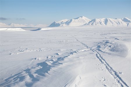 simsearch:400-05361285,k - Arctic winter - tracks on the snow Photographie de stock - Aubaine LD & Abonnement, Code: 400-05361261