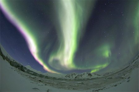 Northern lights on the sky Stock Photo - Budget Royalty-Free & Subscription, Code: 400-05361371