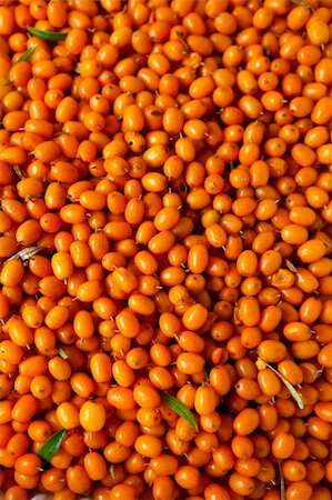 Close-up of delicious and healthy ripe sea-buckthorn berries Stock Photo - Budget Royalty-Free & Subscription, Code: 400-05361452