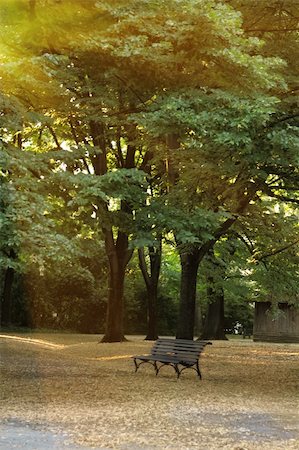 A bench in the autumn park. Evening Photographie de stock - Aubaine LD & Abonnement, Code: 400-05361500