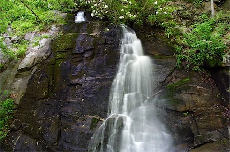 Juney Whank Falls, Great Smokey Mountains National Park, Tennessee Photographie de stock - Aubaine LD & Abonnement, Code: 400-05361533