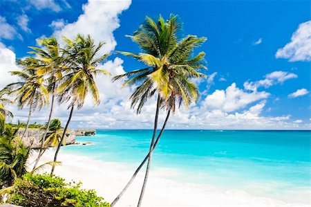 palm cove - Bottom Bay, Barbados, Caribbean Stock Photo - Budget Royalty-Free & Subscription, Code: 400-05362115