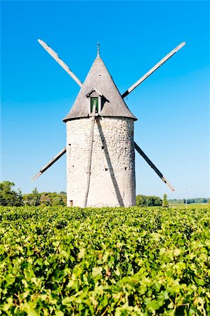 simsearch:400-07095252,k - windmill with vineyard near Blaignan, Bordeaux Region, France Fotografie stock - Microstock e Abbonamento, Codice: 400-05362133