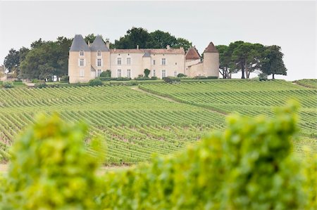 simsearch:400-07095252,k - vineyard and Chateau d'Yquem, Sauternes Region, France Fotografie stock - Microstock e Abbonamento, Codice: 400-05362143