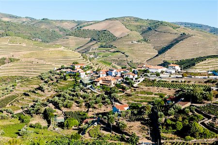 vineyars in Douro Valley, Portugal Foto de stock - Royalty-Free Super Valor e Assinatura, Número: 400-05362288