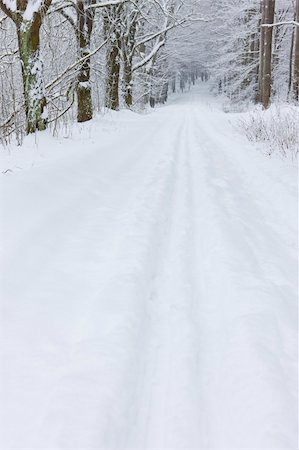 simsearch:400-07294681,k - snowy road, Czech Republic Photographie de stock - Aubaine LD & Abonnement, Code: 400-05362366