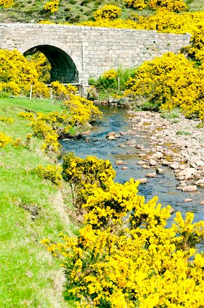 simsearch:400-07314560,k - bridge near Armadale Bay, Highlands, Scotland Fotografie stock - Microstock e Abbonamento, Codice: 400-05362464