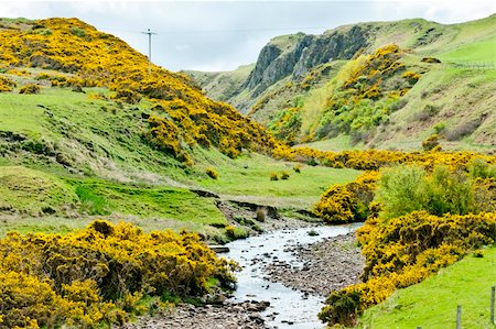 simsearch:400-07314560,k - landscape at Armadale Bay, Highlands, Scotland Fotografie stock - Microstock e Abbonamento, Codice: 400-05362461