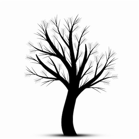 Beautiful art tree isolated on white background Stock Photo - Budget Royalty-Free & Subscription, Code: 400-05362796