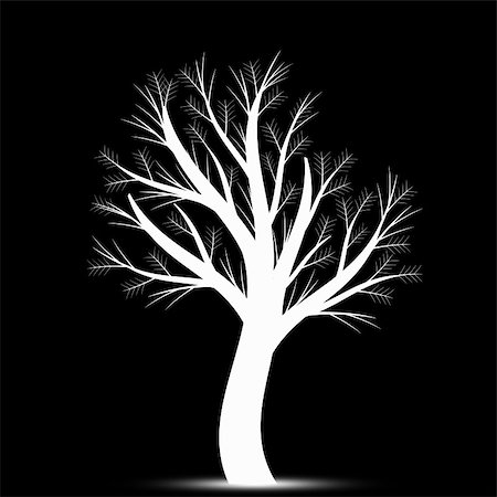 Beautiful art tree isolated on black background Fotografie stock - Microstock e Abbonamento, Codice: 400-05362809