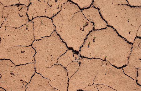 earth surface arid - Dry cracked clay ground backdrop with some small plants Stock Photo - Budget Royalty-Free & Subscription, Code: 400-05363468