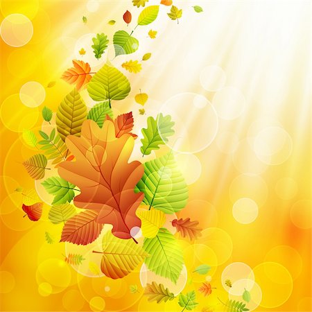 Autumn background with colorful leaves and place for text. Vector illustration. Stock Photo - Budget Royalty-Free & Subscription, Code: 400-05363895