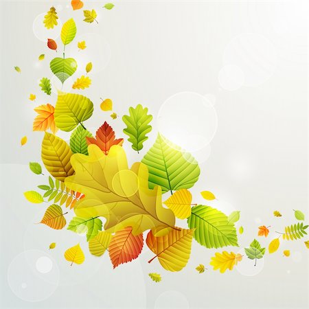 Autumn background with colorful leaves. Vector illustration. Stock Photo - Budget Royalty-Free & Subscription, Code: 400-05363898