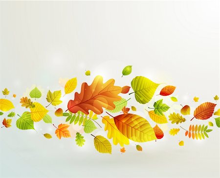 Autumn background with colorful leaves. Vector illustration. Stock Photo - Budget Royalty-Free & Subscription, Code: 400-05363892