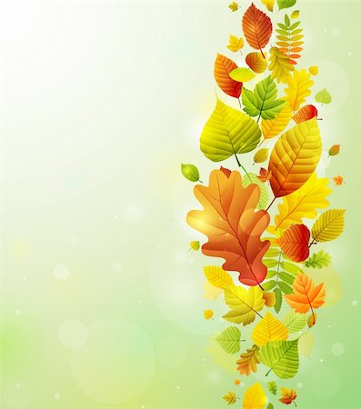 simsearch:400-05363894,k - Autumn background with colorful leaves. Vector illustration. Foto de stock - Super Valor sin royalties y Suscripción, Código: 400-05363893