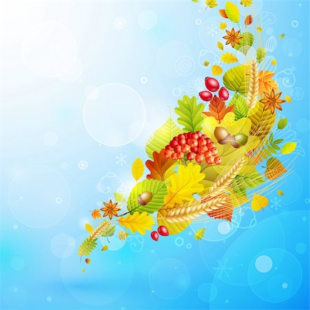 simsearch:400-05363894,k - Autumn background with colorful leaves on sky and place for text. Vector illustration. Foto de stock - Super Valor sin royalties y Suscripción, Código: 400-05363906