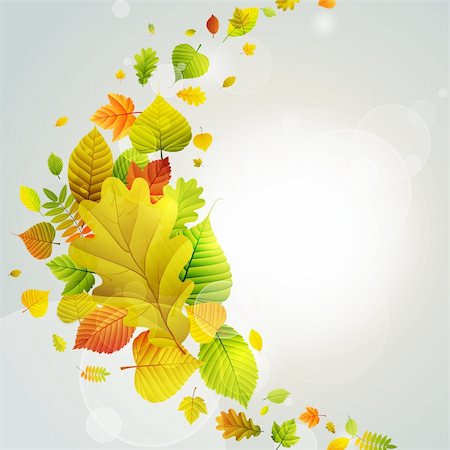simsearch:400-05363894,k - Autumn background with colorful leaves. Vector illustration. Foto de stock - Super Valor sin royalties y Suscripción, Código: 400-05363900