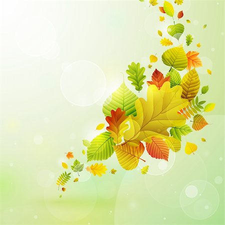 placing ornaments on the tree - Autumn background with colorful leaves. Vector illustration Stock Photo - Budget Royalty-Free & Subscription, Code: 400-05363901