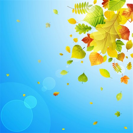simsearch:400-05363894,k - Autumn background with colorful leaves on sky and place for text. Vector illustration. Foto de stock - Super Valor sin royalties y Suscripción, Código: 400-05363902