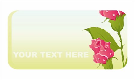 simsearch:400-04331987,k - beautiful roses banner Foto de stock - Super Valor sin royalties y Suscripción, Código: 400-05363957