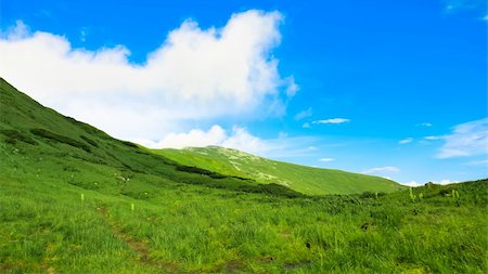 simsearch:400-06143114,k - Beautiful landscape in Carpathian Fotografie stock - Microstock e Abbonamento, Codice: 400-05374118