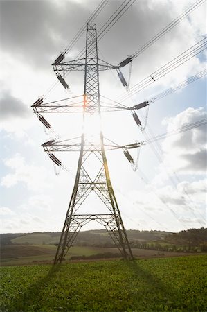 Electricity Pylons In A Paddock Stock Photo - Budget Royalty-Free & Subscription, Code: 400-05374290