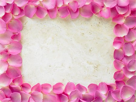 Rose Petal Photograph Frame Stock Photo - Budget Royalty-Free & Subscription, Code: 400-05374594