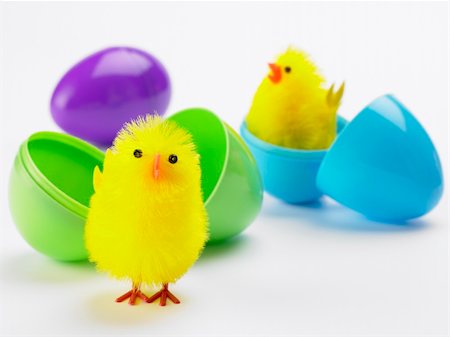 simsearch:400-05374611,k - Easter Chicks Hatching Out Of Eggs Foto de stock - Super Valor sin royalties y Suscripción, Código: 400-05374628