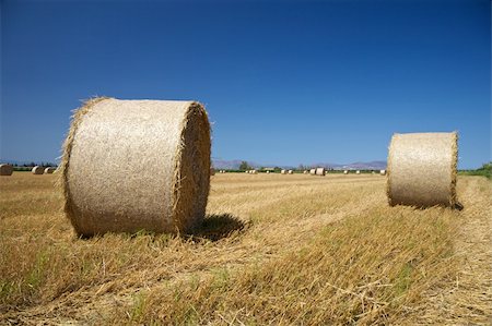 hay fields at the country in Girona Catalunya Spain Stock Photo - Budget Royalty-Free & Subscription, Code: 400-05376693