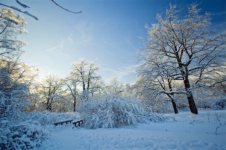 snow blizzards highway - Winter park under snow at sunny day Stock Photo - Budget Royalty-Free & Subscription, Code: 400-05377081