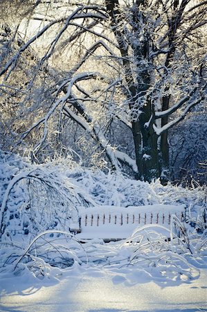 simsearch:400-08108630,k - Winter park under snow at sunny day Photographie de stock - Aubaine LD & Abonnement, Code: 400-05377110