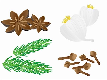 spices vector - A set of herbs and spices. Stock Photo - Budget Royalty-Free & Subscription, Code: 400-05377533