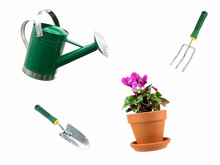 A watering can isolated against a white background Stock Photo - Budget Royalty-Free & Subscription, Code: 400-05379201