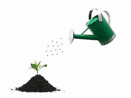 A watering can isolated against a white background Stock Photo - Budget Royalty-Free & Subscription, Code: 400-05379203