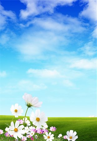 simsearch:400-05372701,k - Nice spring day for you Stock Photo - Budget Royalty-Free & Subscription, Code: 400-05379296