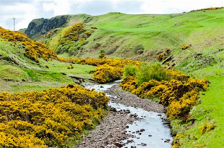 simsearch:400-07314560,k - landscape at Armadale Bay, Highlands, Scotland Fotografie stock - Microstock e Abbonamento, Codice: 400-05379596