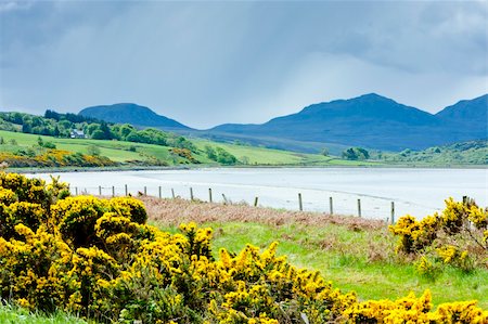 simsearch:400-07314560,k - Kyle of Tongue, Highlands, Scotland Fotografie stock - Microstock e Abbonamento, Codice: 400-05379593