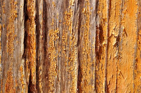 plain wallpaper - A wooden wall with it's yellow paint peeling off. Stock Photo - Budget Royalty-Free & Subscription, Code: 400-05370416