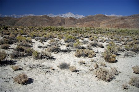 simsearch:400-04324243,k - Scenic Death Valley National Park in California Stockbilder - Microstock & Abonnement, Bildnummer: 400-05370637