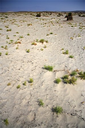 Scenic Death Valley National Park in California Photographie de stock - Aubaine LD & Abonnement, Code: 400-05370639