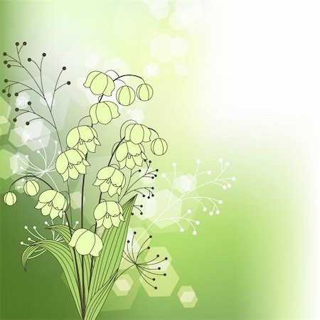 easter lily background - Light green background with spring flowers and plants Stock Photo - Budget Royalty-Free & Subscription, Code: 400-05371268