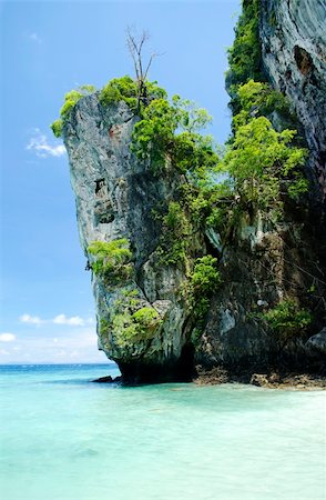 phi phi island - ko phi phi tropical island beach in thailand Stock Photo - Budget Royalty-Free & Subscription, Code: 400-05372521