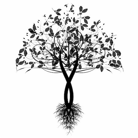 Beautiful art tree isolated on white background Stock Photo - Budget Royalty-Free & Subscription, Code: 400-05372749