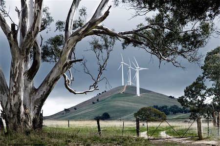 farm science - Windfarm in rural Australia Stock Photo - Budget Royalty-Free & Subscription, Code: 400-05384131