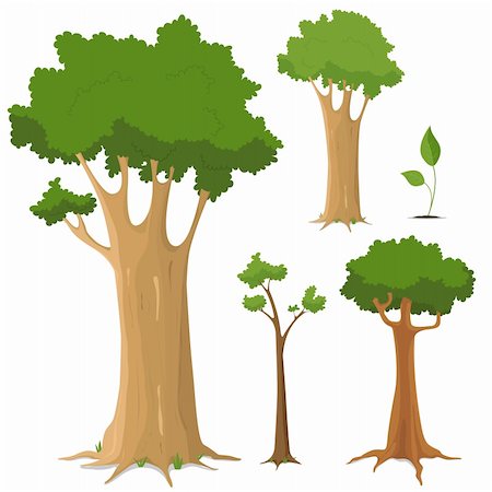 Illustration of a set of variety of trees, young and old Stock Photo - Budget Royalty-Free & Subscription, Code: 400-05384300