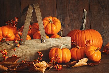 sandralise (artist) - Colorful pumpkins with dark wood background Photographie de stock - Aubaine LD & Abonnement, Code: 400-05385097