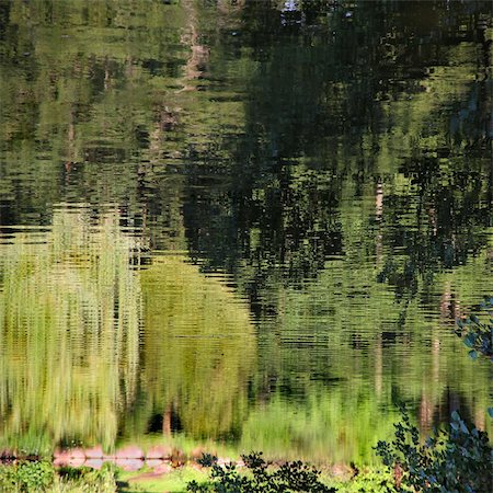 Pond reflection as abstract natural green background. Stock Photo - Budget Royalty-Free & Subscription, Code: 400-05385796